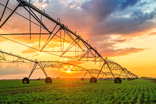 Agrometeorology and Crops